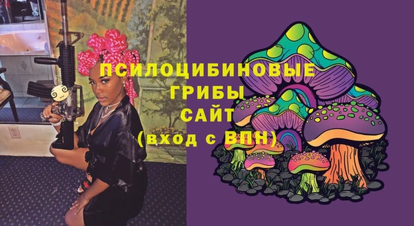 apvp Белокуриха