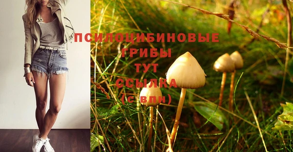 ALPHA PVP Балахна