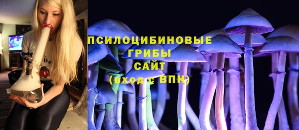 первитин Белоозёрский
